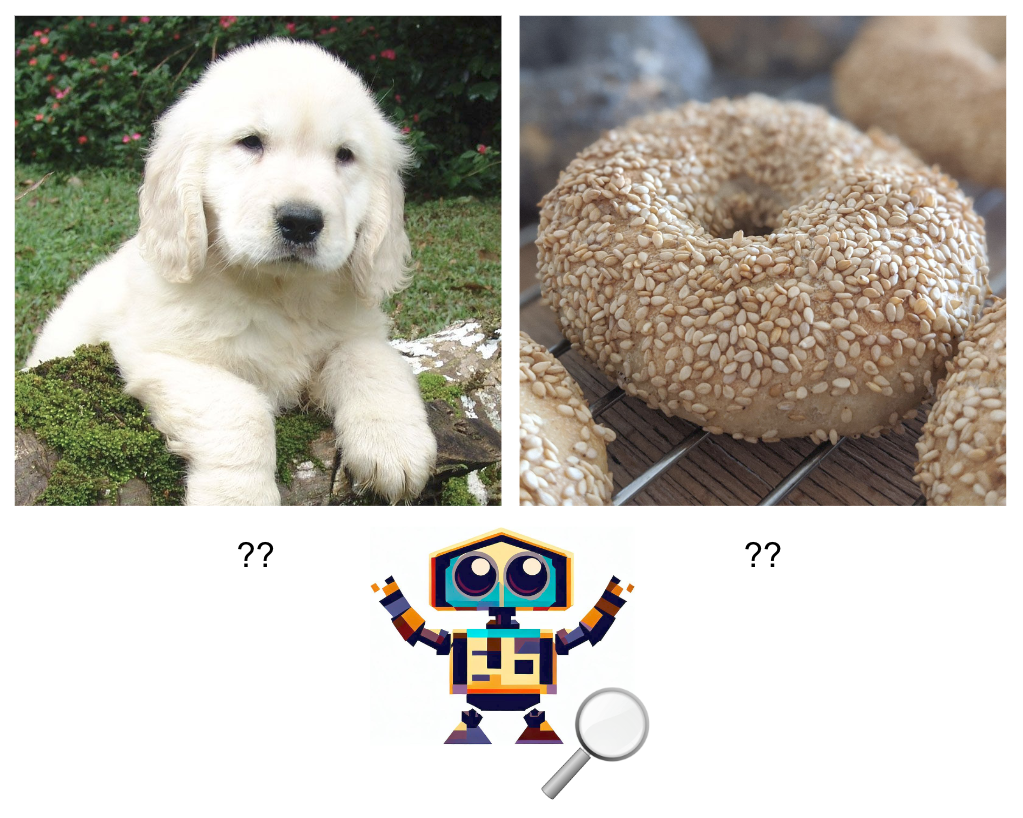 Two images, one of a puppy and one of a bagel, with a cartoon robot trying to decipher between them.