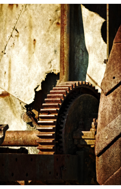 Single cog