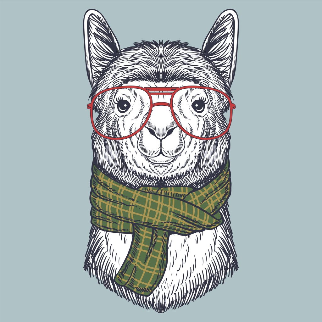 An image of a llama.