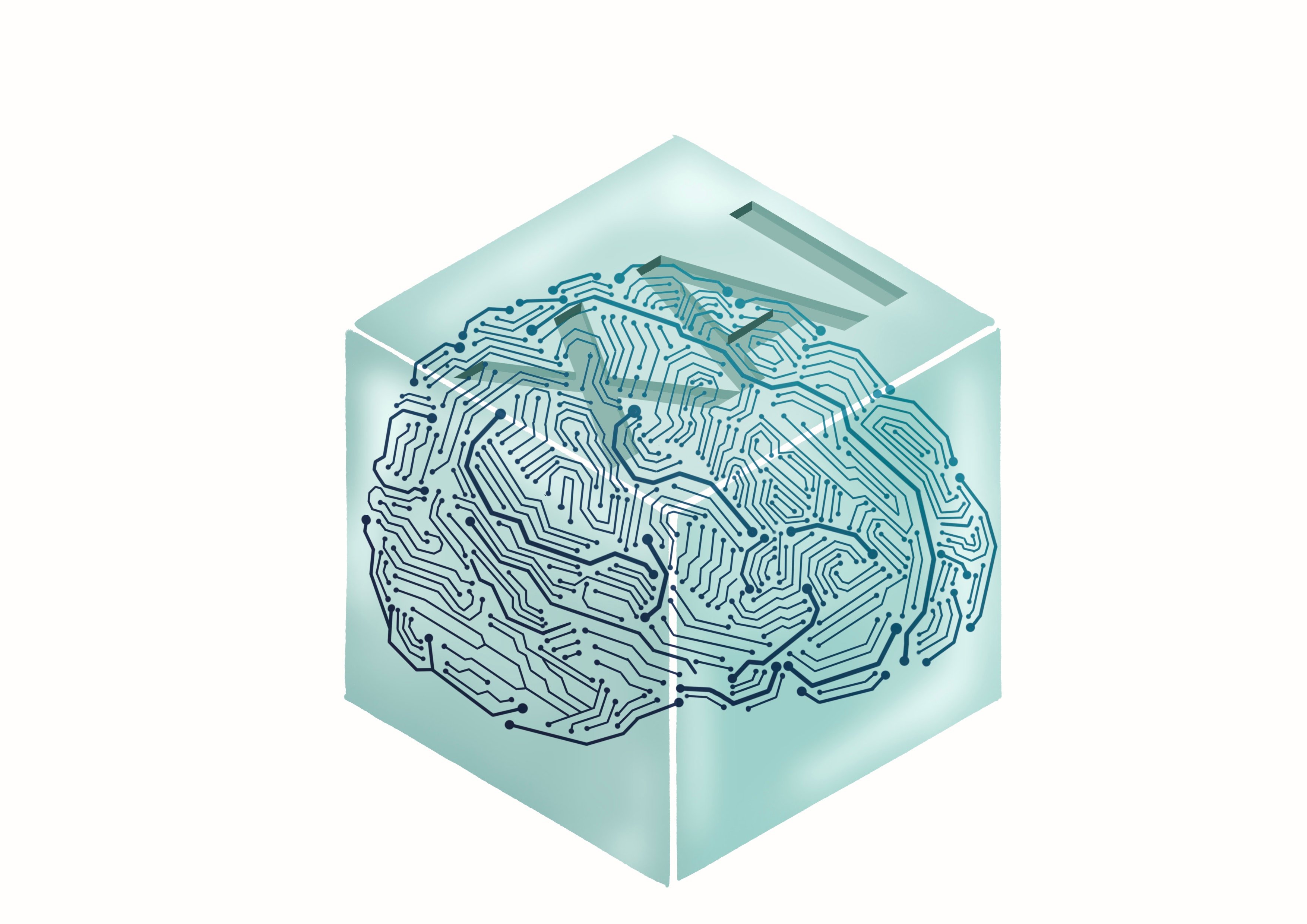 A digital brain in the XAI clear-box.