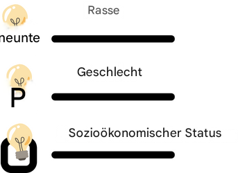 Eine Checkliste mit Ethnie, Geschlecht und sozioökonomischem Status