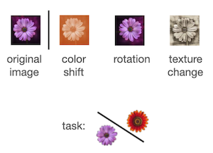 Image of a flower transformed in three ways: using rotation, color shift, and texture change.