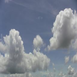 Cumulus cloud picture