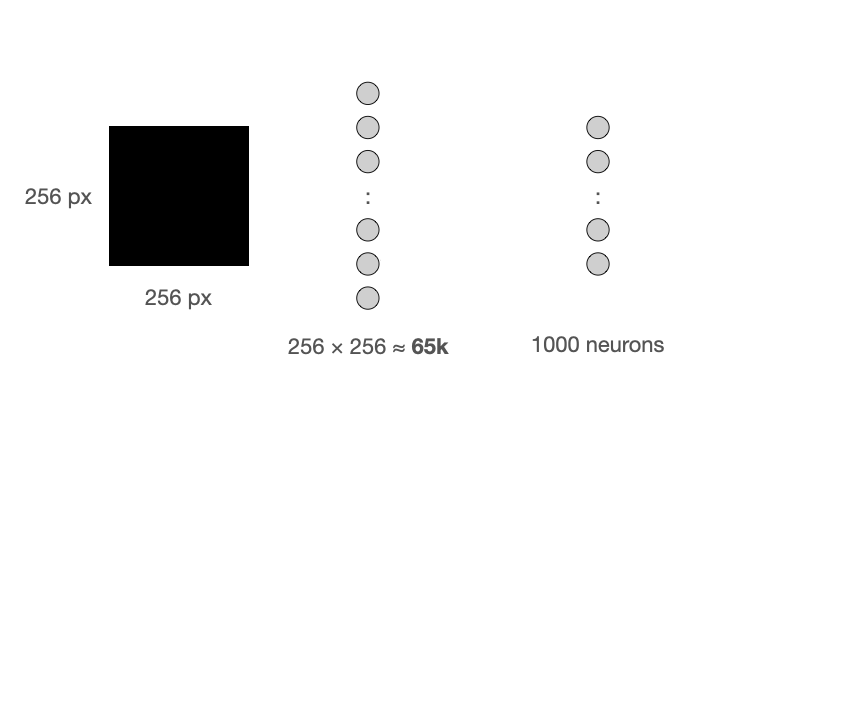 A linear layer of 1000 neurons processes the 65k pixel values.