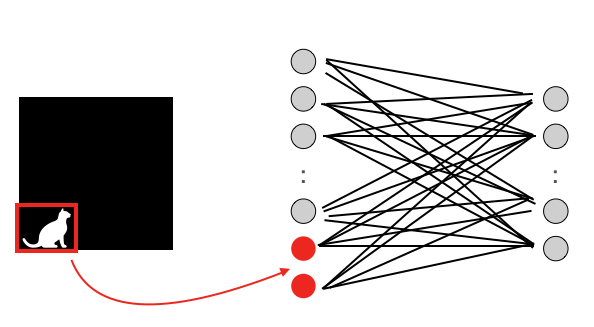 Image with cat in corner and the neurons reading that part of the image