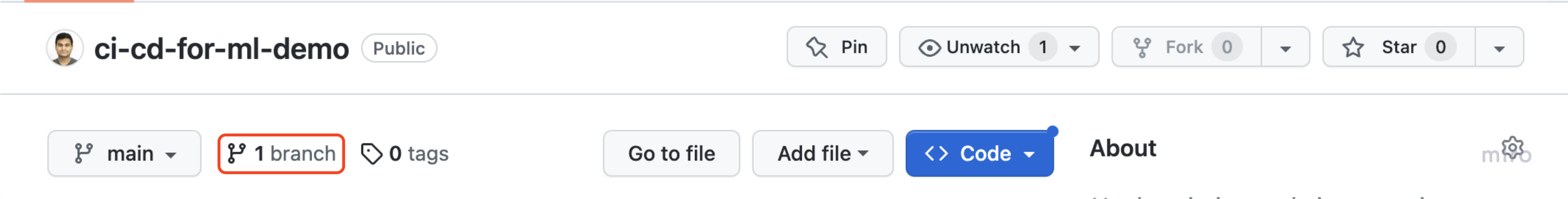 Image of the landing page highlighting the branch tab