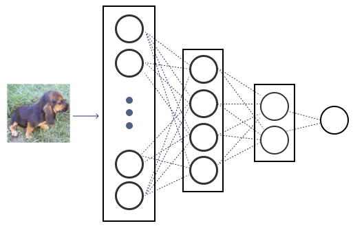 binary classification