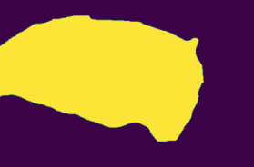 segmentation mask