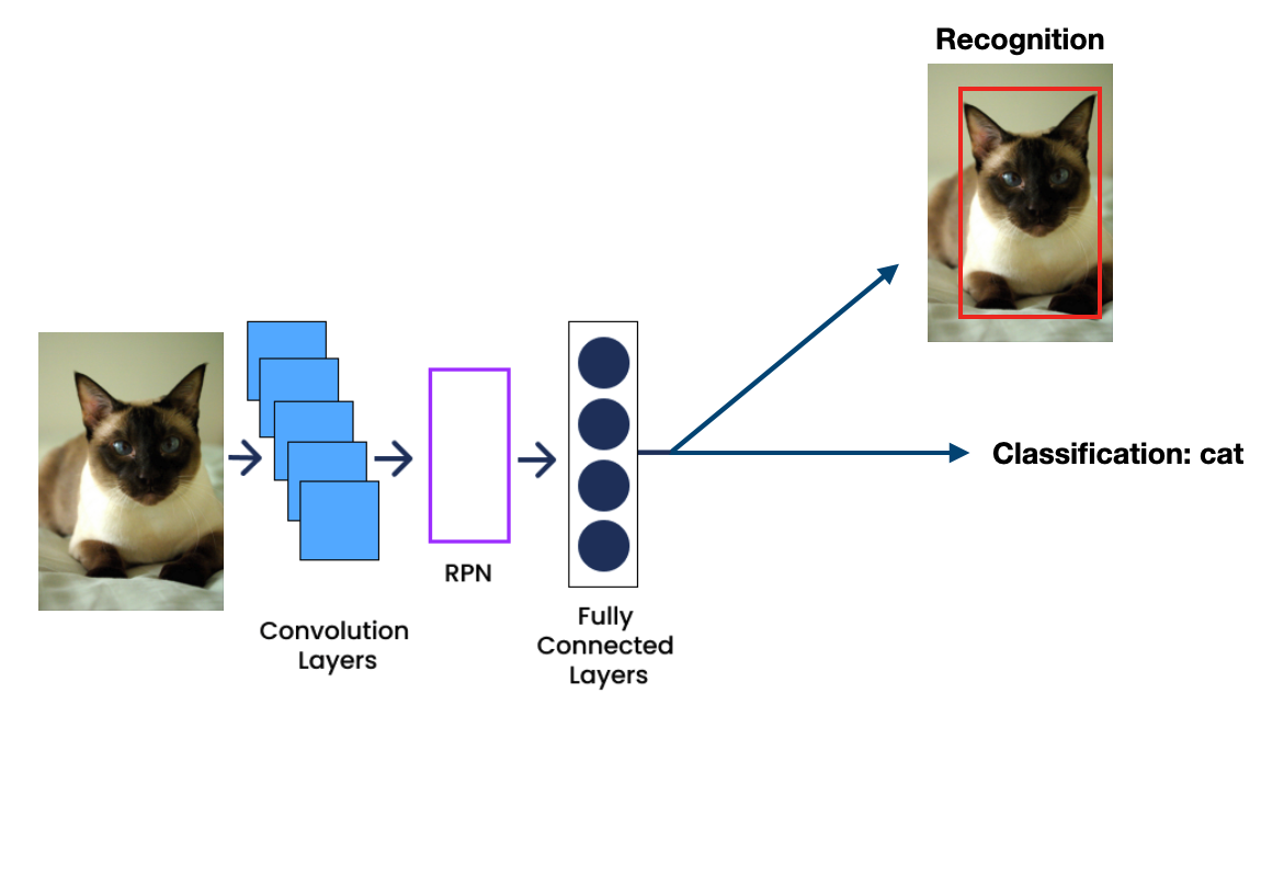 Faster R-CNN architecture diagram
