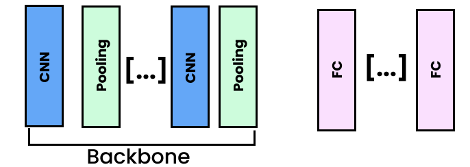 backbone