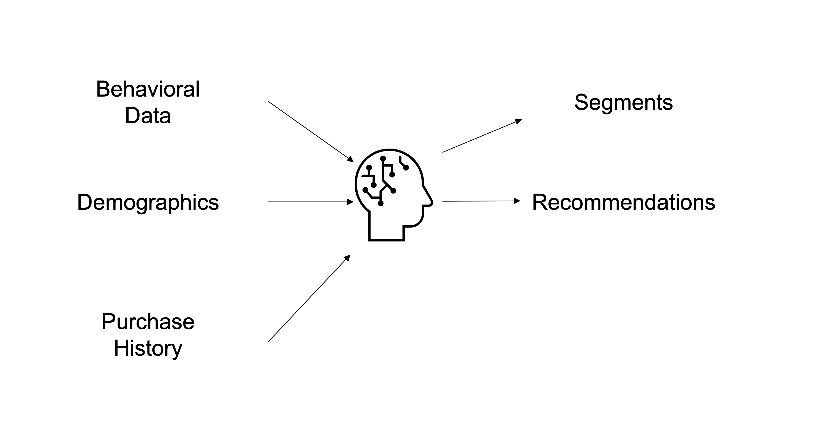 Behavioral Data, Demographics, and Purchase History data being used in AI resulting in recommendations.