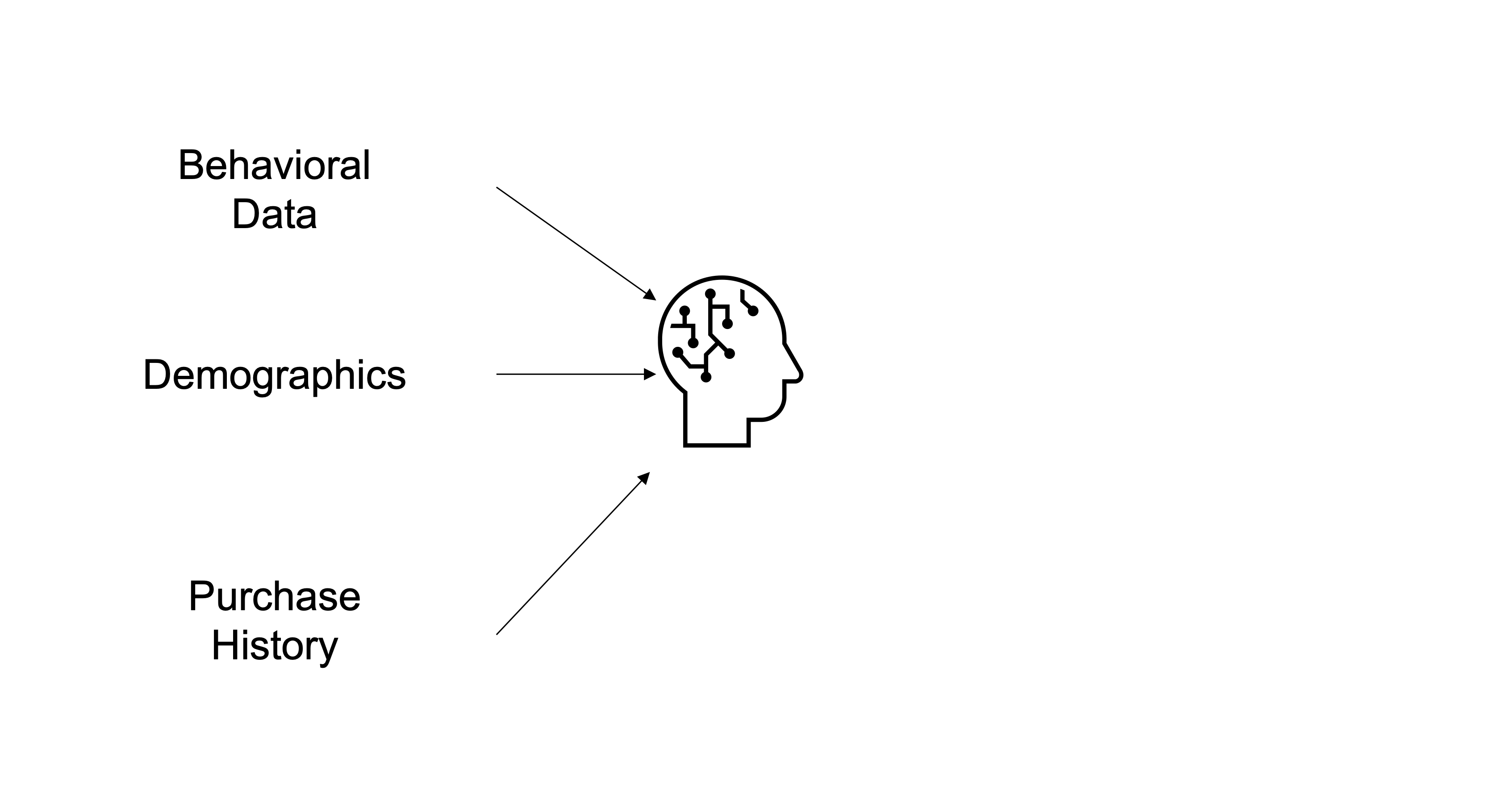 Behavioral Data, Demographics, and Purchase History data being used in AI.