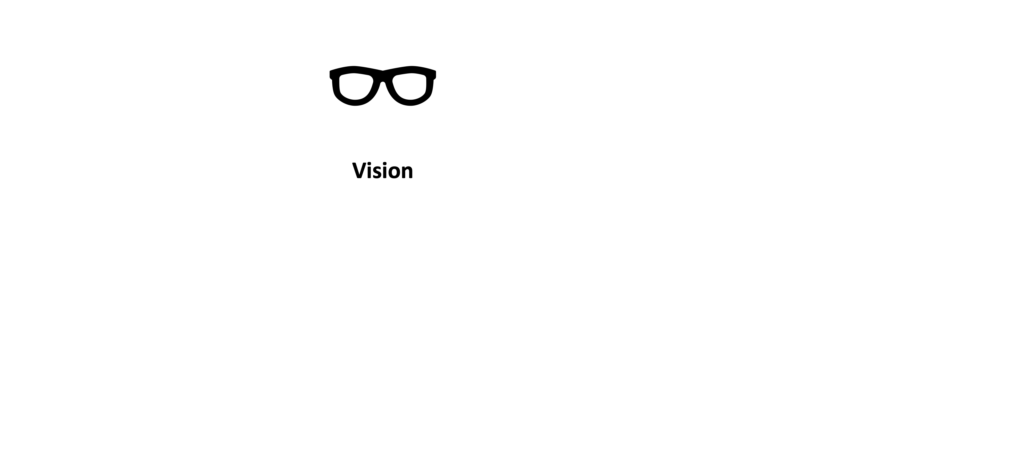 A pair of glass with the word "Vision".