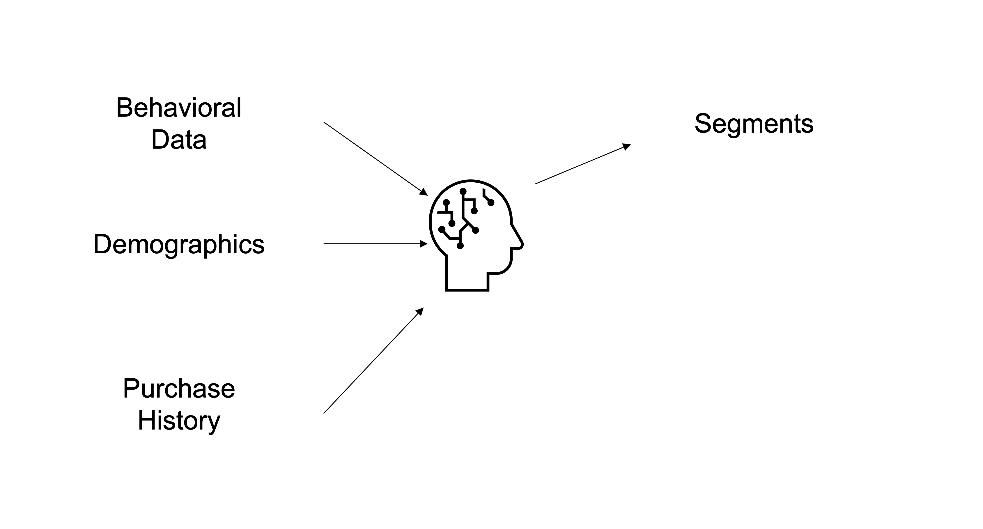 Behavioral Data, Demographics, and Purchase History data being used in AI resulting in segments.
