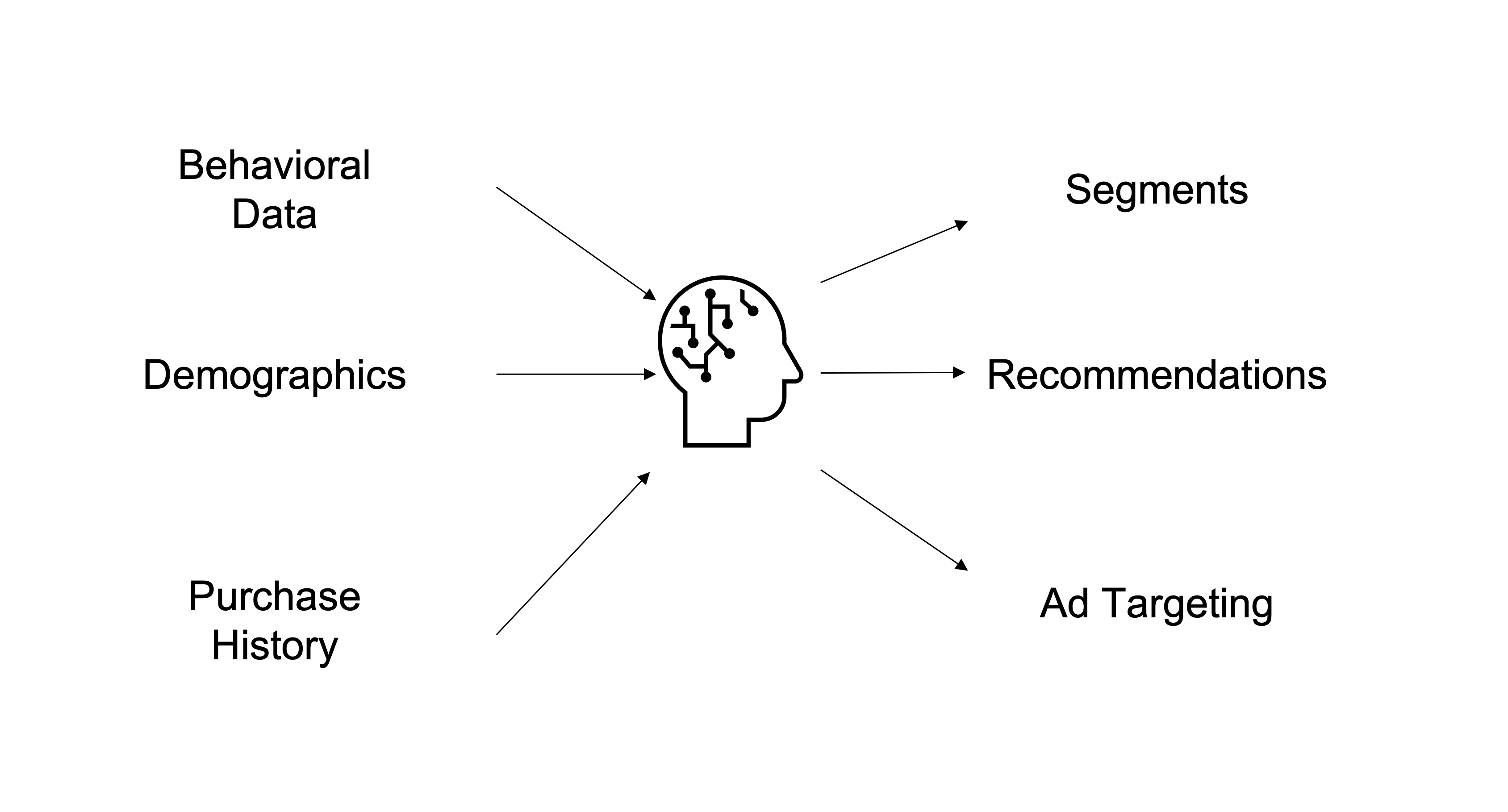 Behavioral Data, Demographics, and Purchase History data being used in AI resulting in ad targeting.