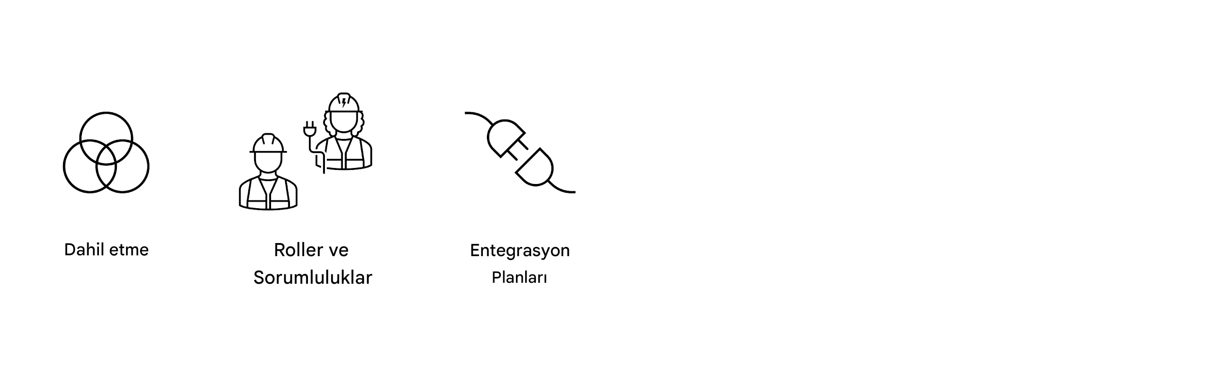 Entegrasyon planları.