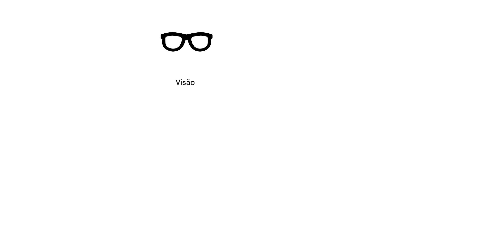 Um par de óculos com a palavra "Vision".