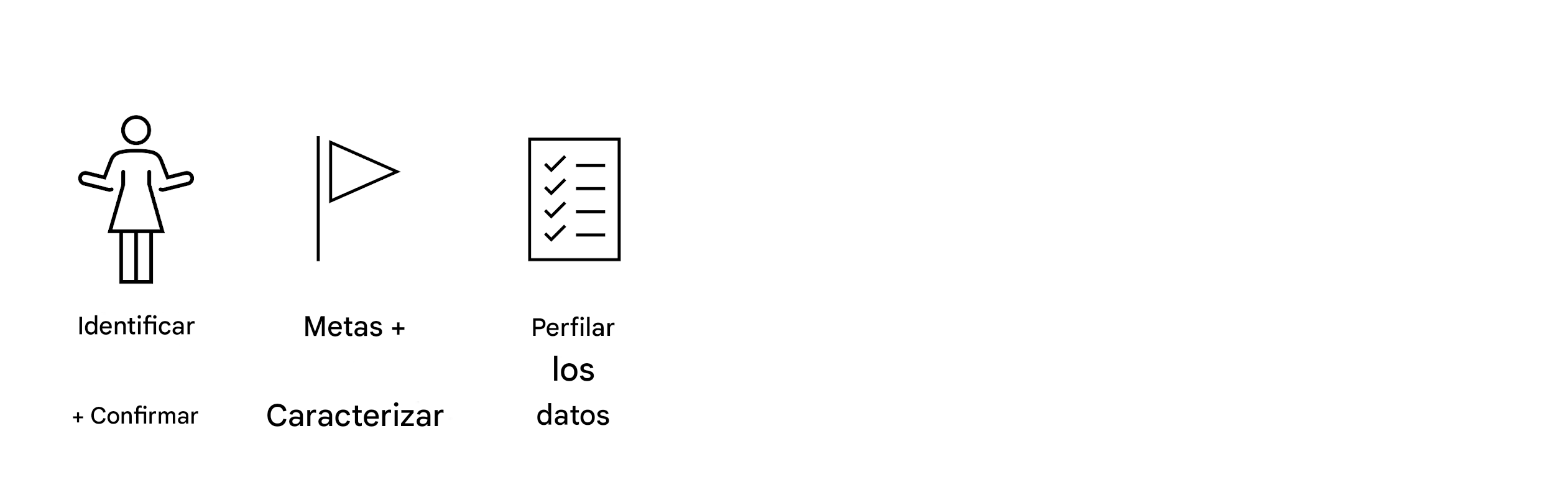 Perfilar los datos.