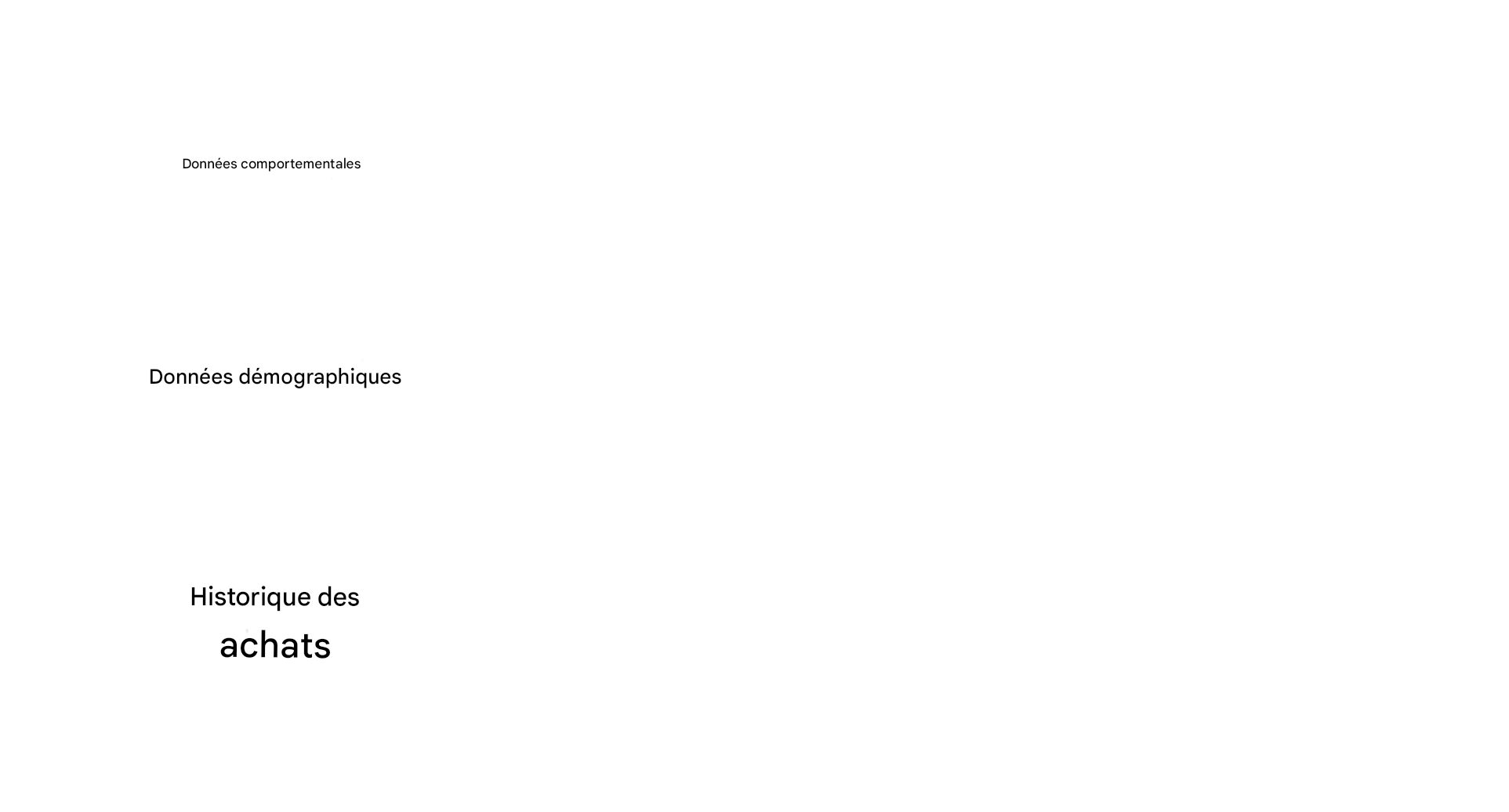 Données comportementales, démographiques et historiques d'achat