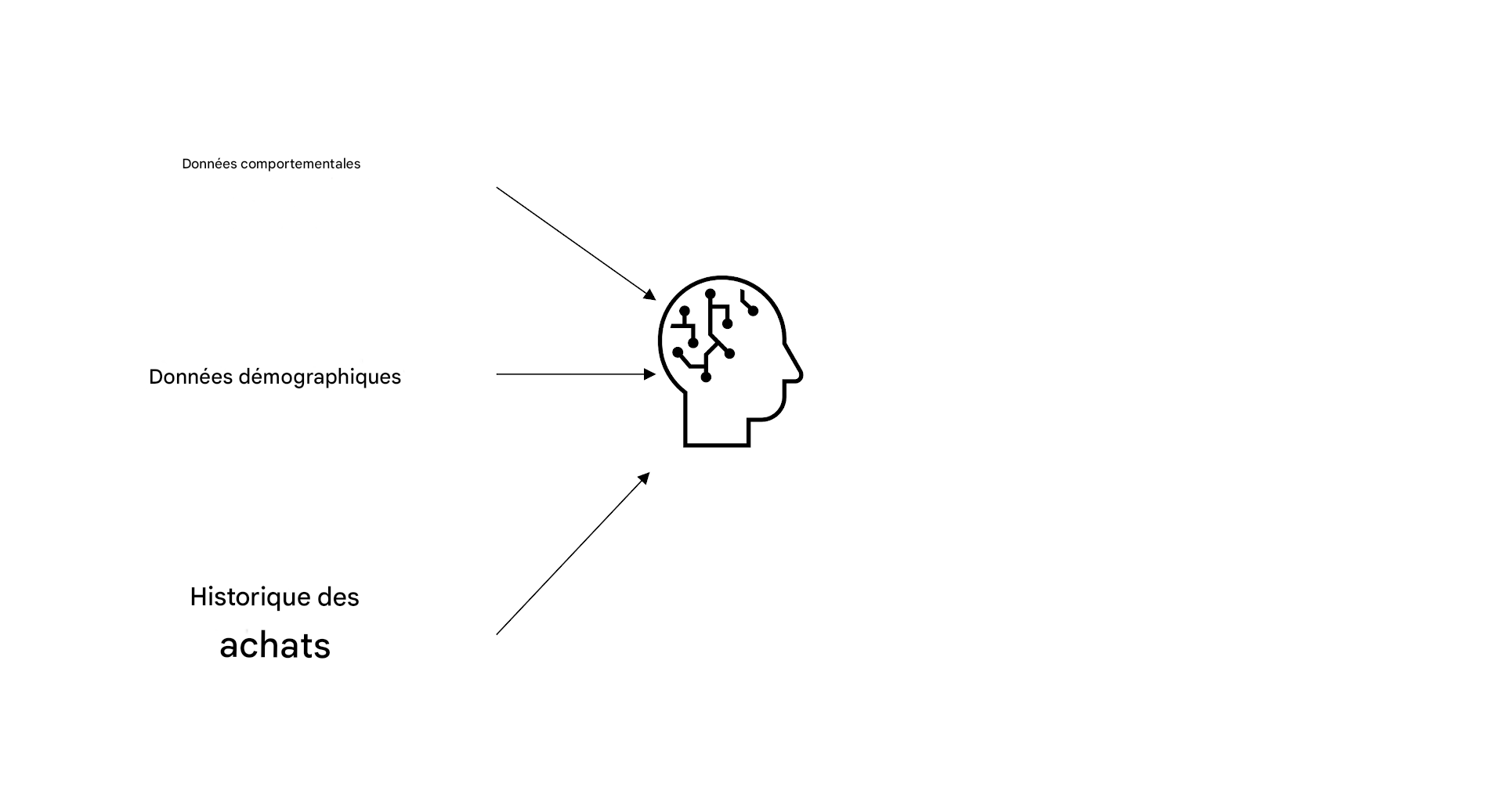 Données comportementales, démographiques et historiques d'achat utilisés dans l'IA