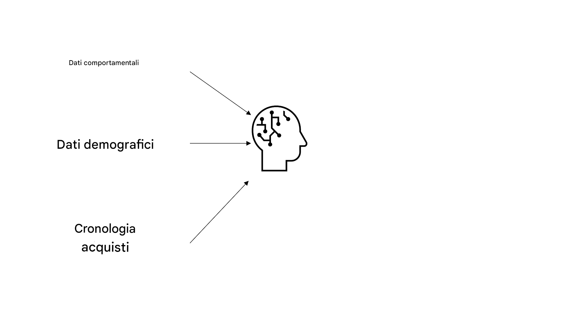 Dati comportamentali, dati demografici e cronologia degli acquisti utilizzati nell'AI.