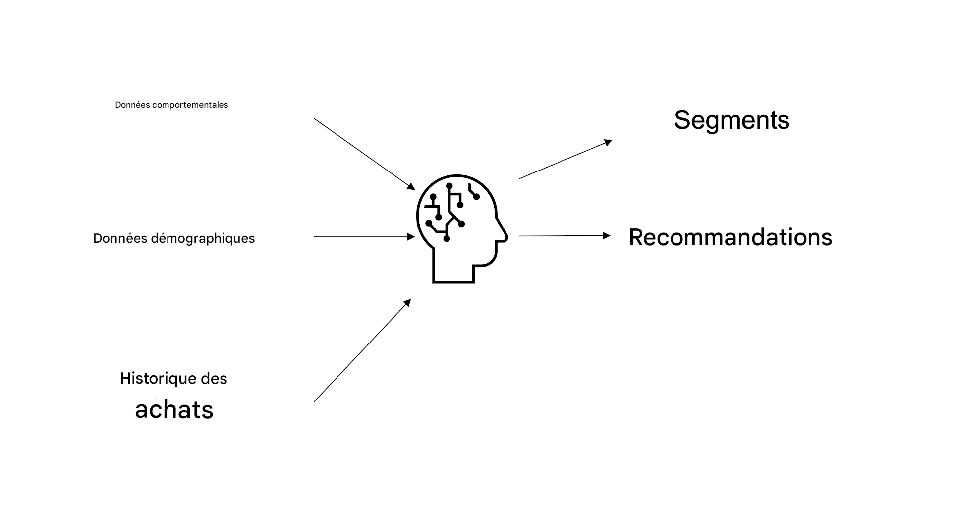 Les données comportementales, démographiques et d'historiques d'achat sont utilisées dans l'IA pour générer des recommandations