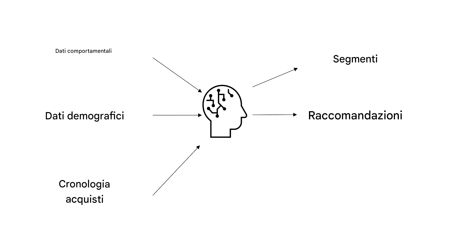 I dati comportamentali, demografici e la cronologia degli acquisti vengono utilizzati per l'intelligenza artificiale e danno luogo a raccomandazioni.