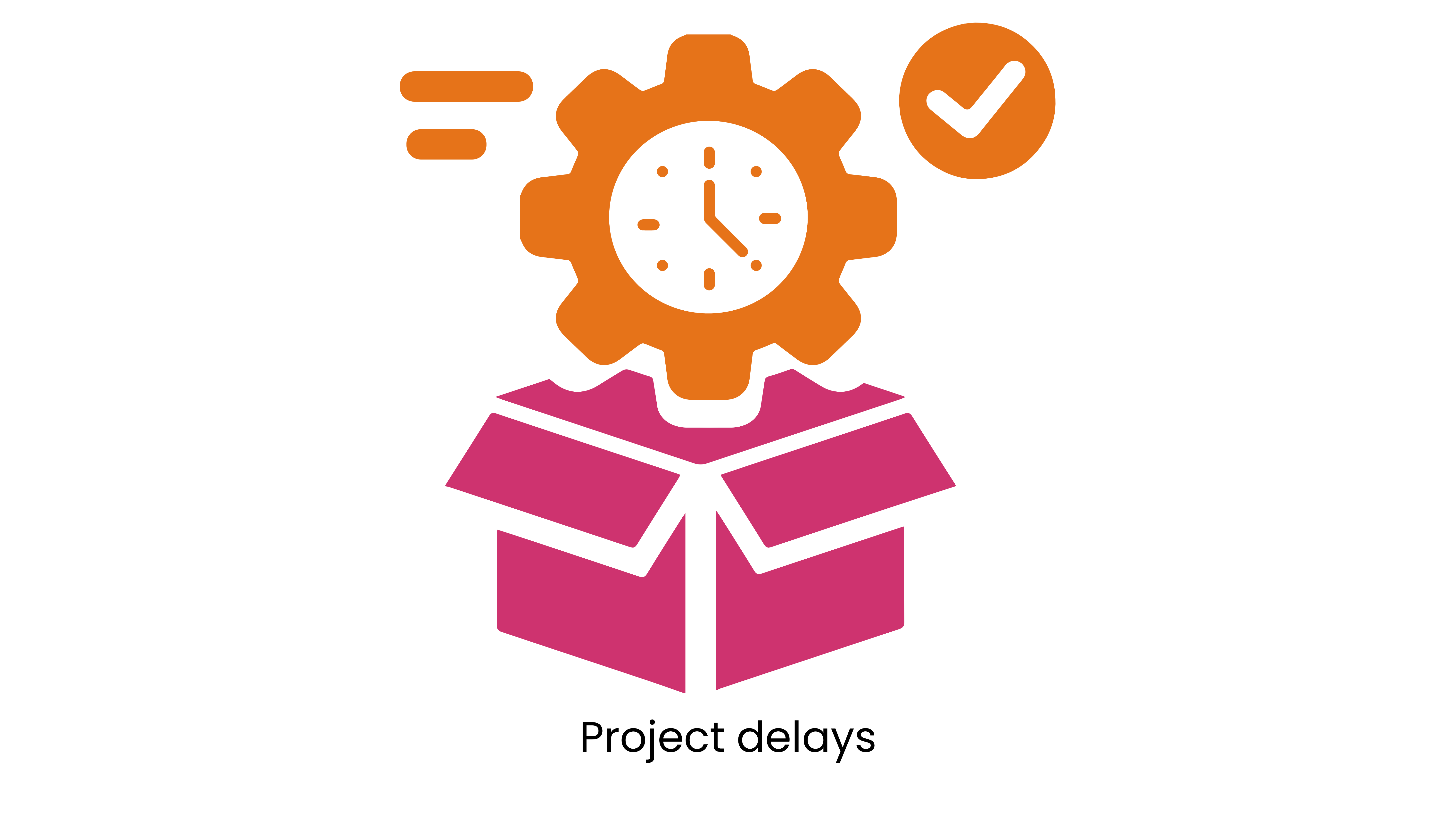 Project delays