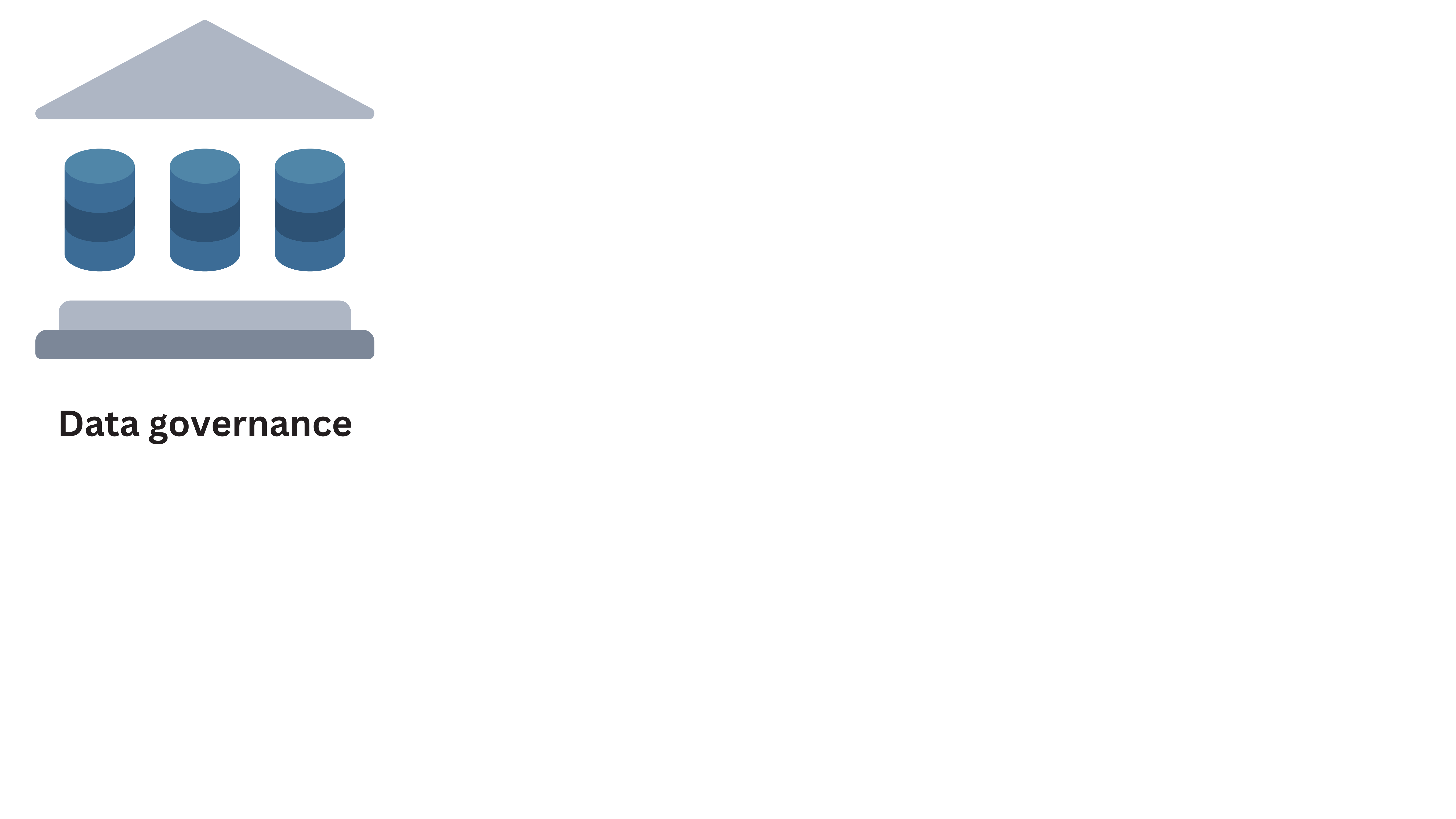 Data governance