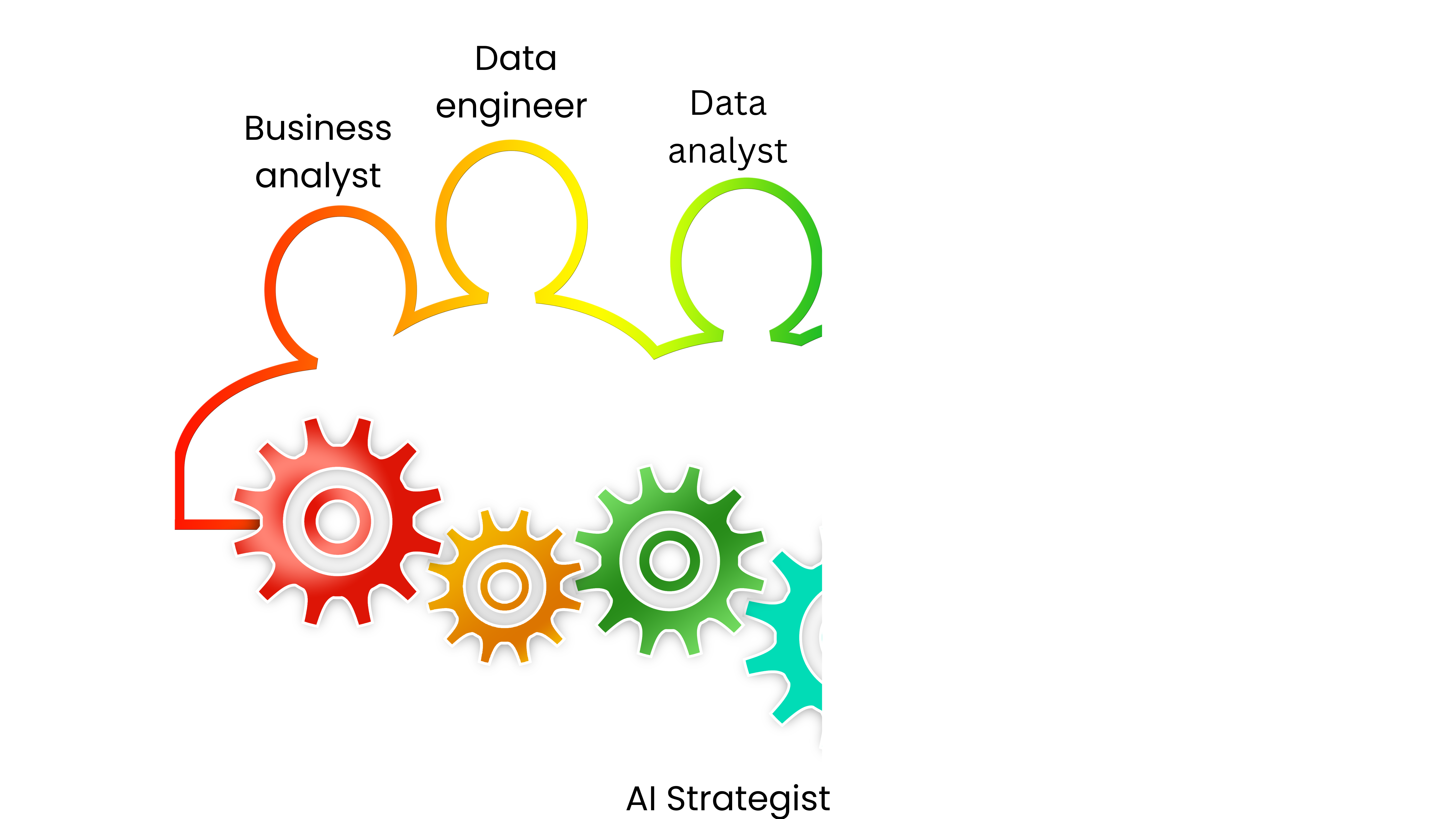 Data analyst