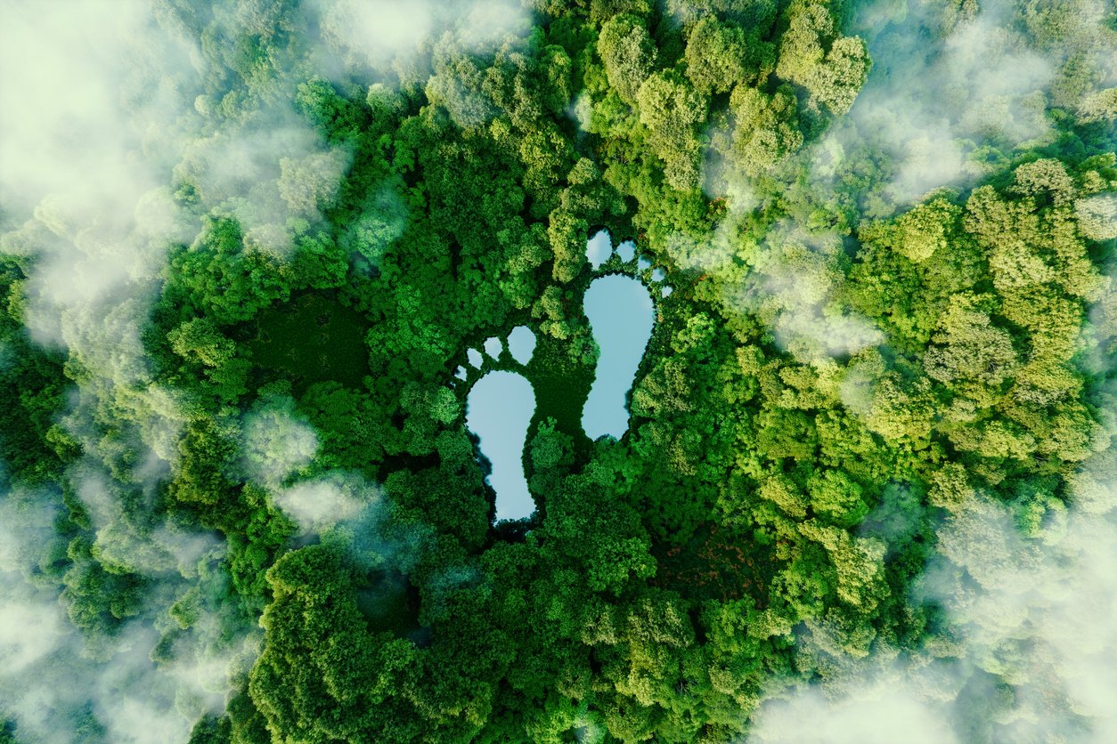 iStock-1344923073.jpg