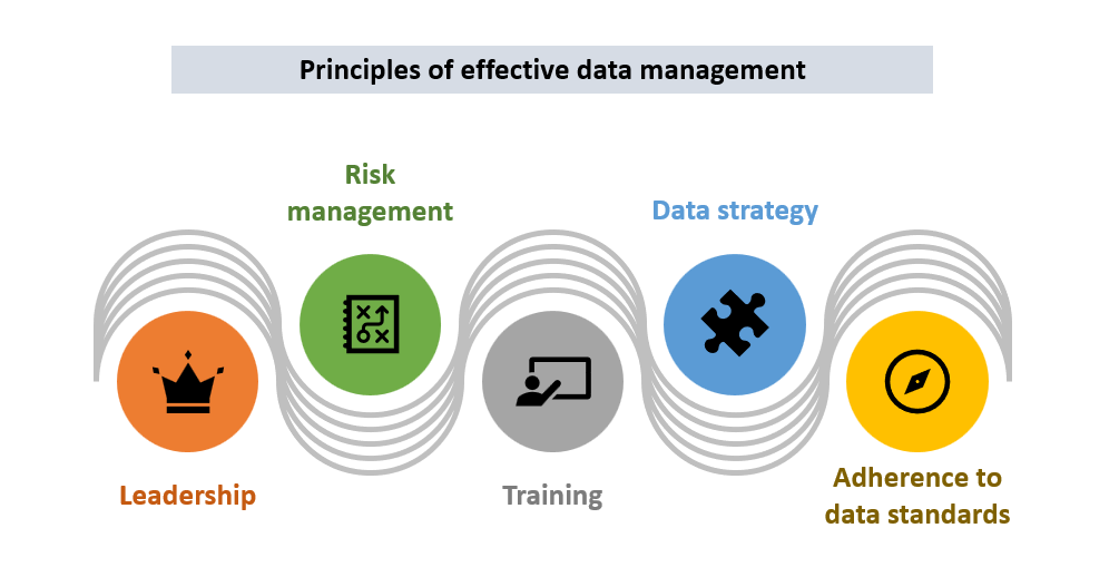 Illustration depicting the key principles of effective data management. Leadership, risk management, training, data strategy and adherence to data standards.