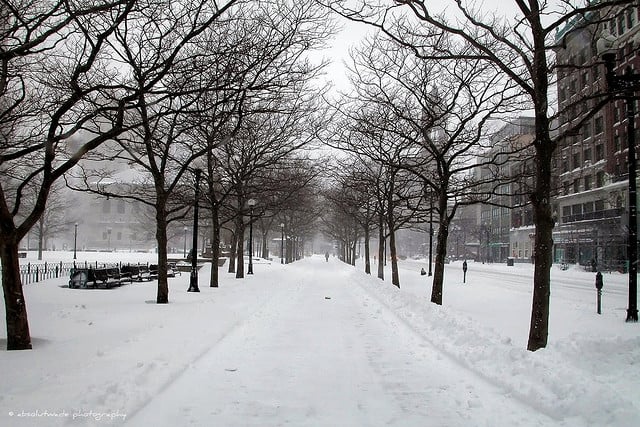 Boston Commons under the snow