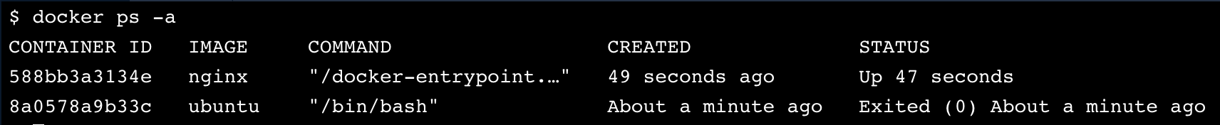 docker ps -a