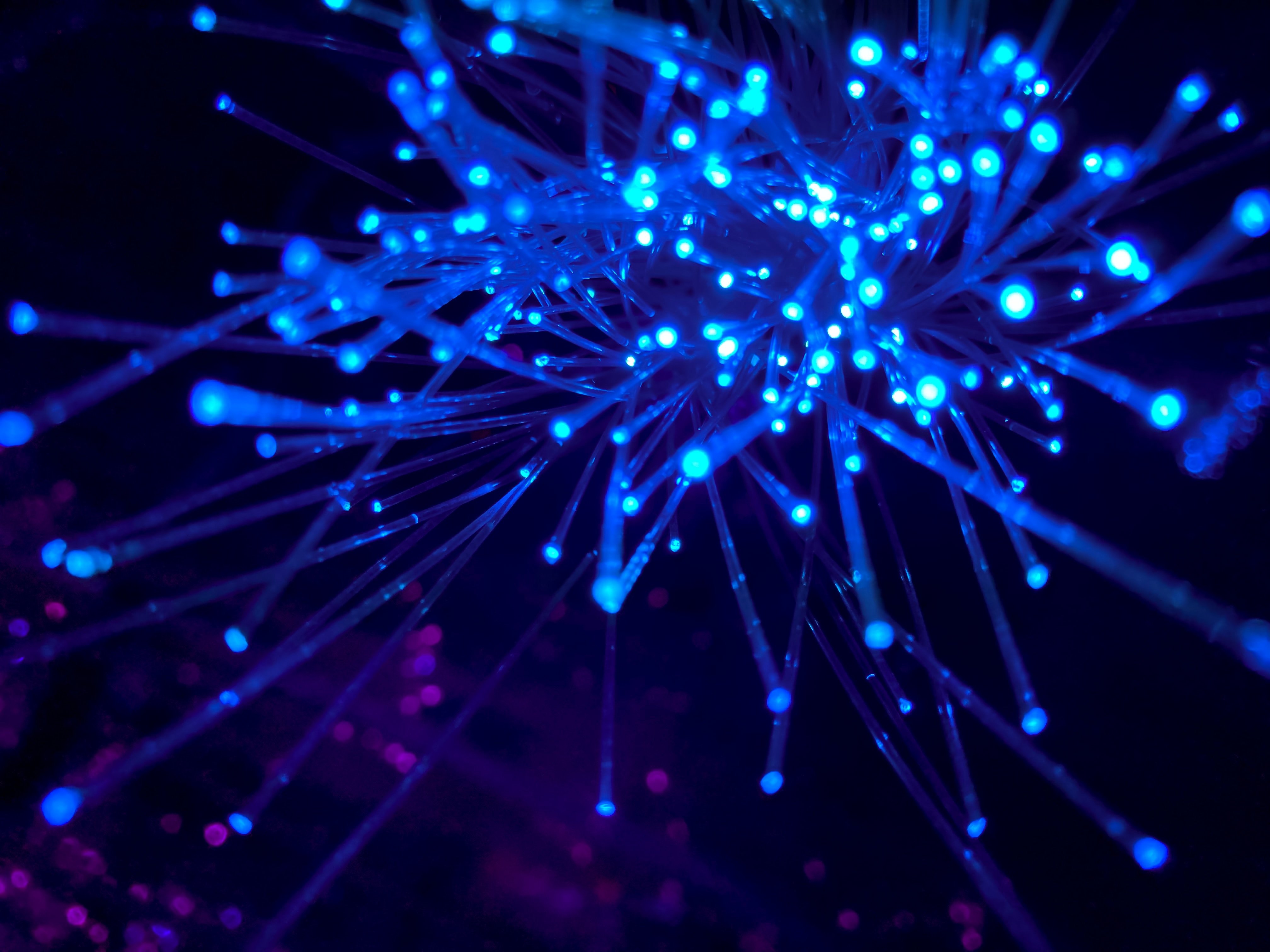 Computer network