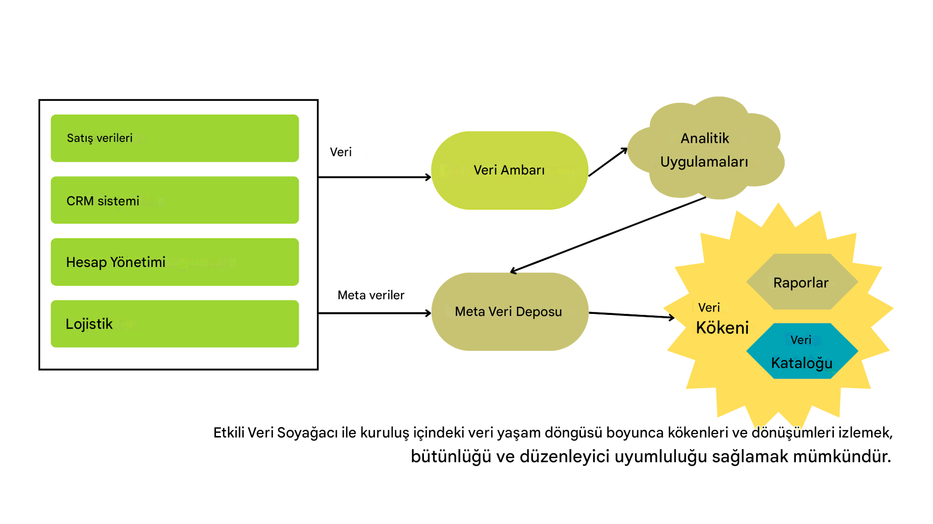 solda meta veri yönetimi ile raporlara ve veri kataloglarına dönüştürülmüş sistem verileri