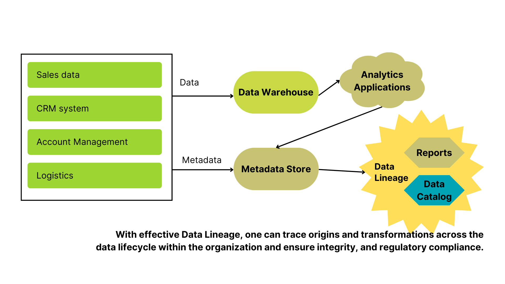 system data on the left transformed into reports and data catalogs through metadata management