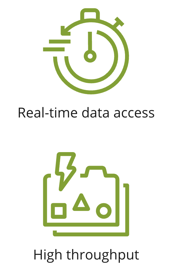 Two icons showing real-time data access and high throughput.