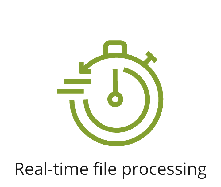 An icon showing real-time processing.