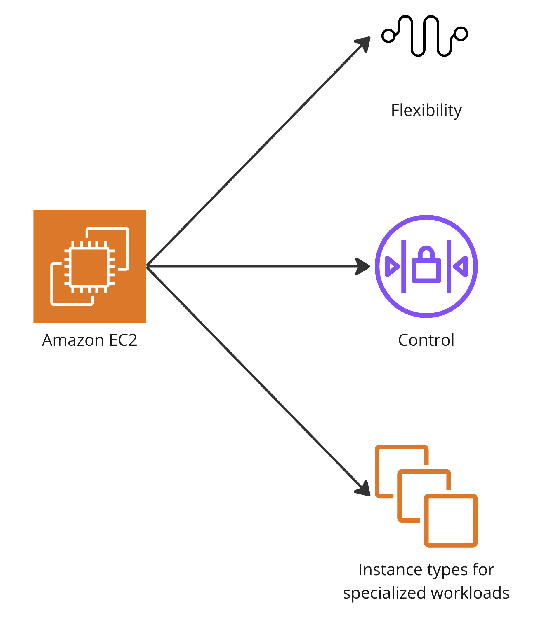 A branched chart highlighting flexibility, control, and special instance types in EC2.