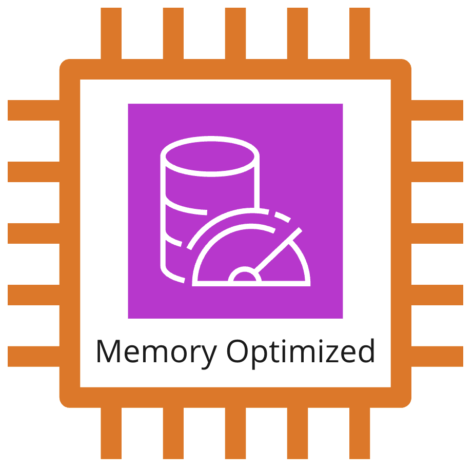 EC2 instance icon showing a memory optimized instance.