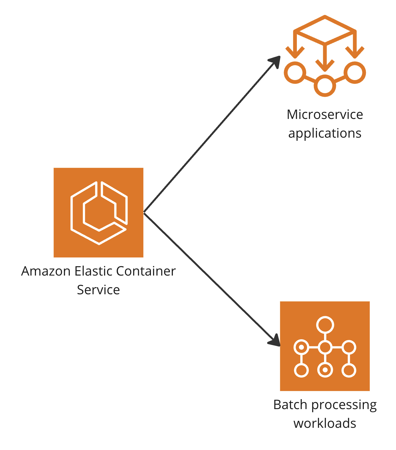 A branched diagram highlighting Elastic Container Service support for microservice and batch processing applications.