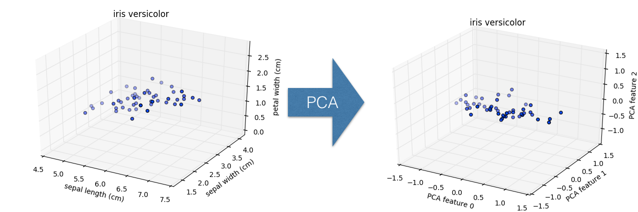 Rotated versicolor points plotted in 3d space: PC1 vs PC2 vs PC3