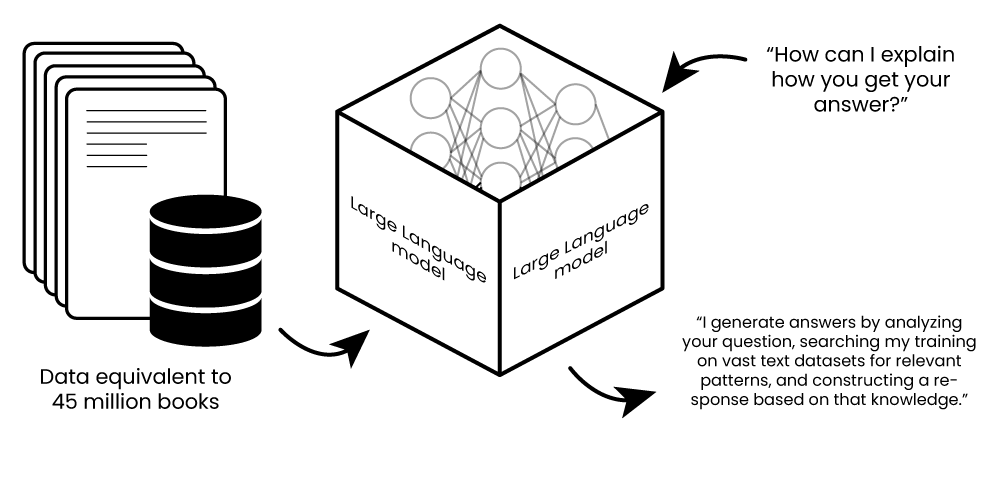graphic depicting how data goes into a large language model and prompting the model