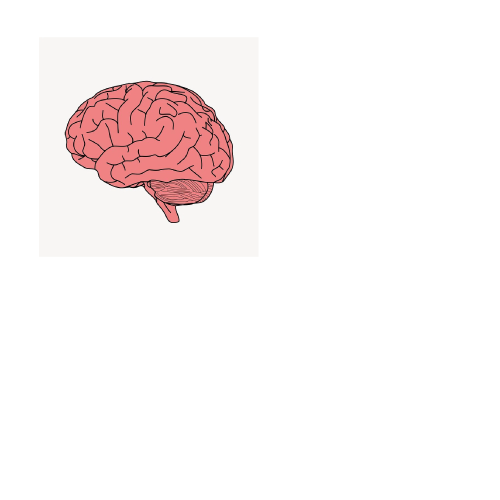graphic showing brain