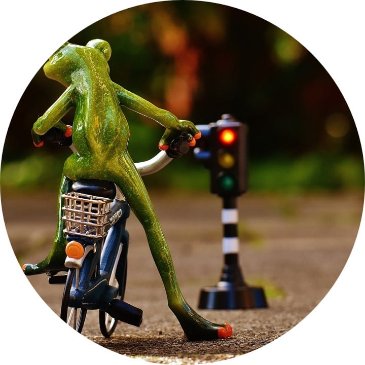 Image showing a frog riding a bike and waiting for traffic lights to turn green.