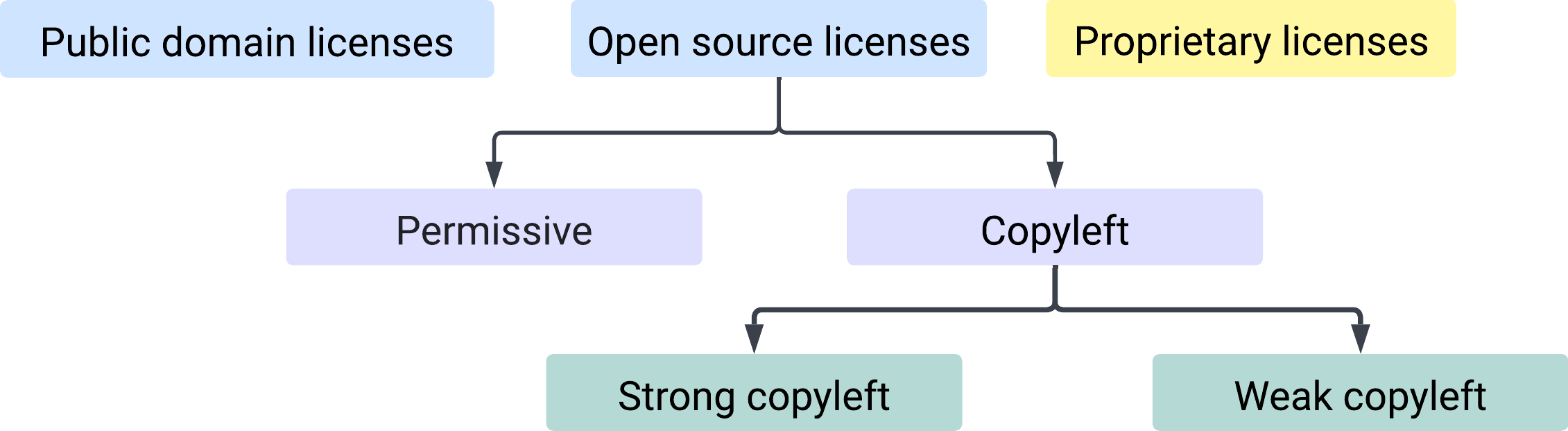 types of licenses