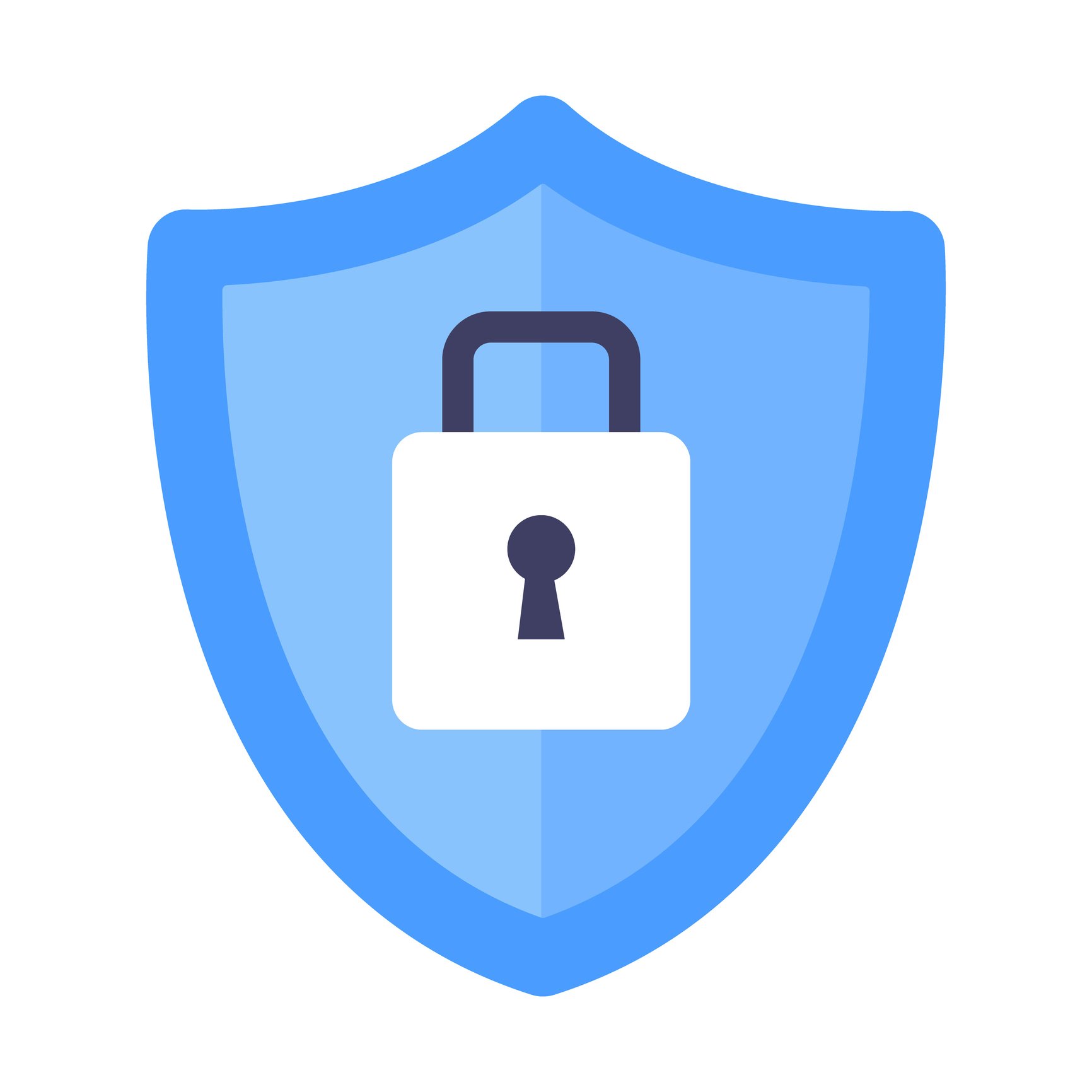 Security shield