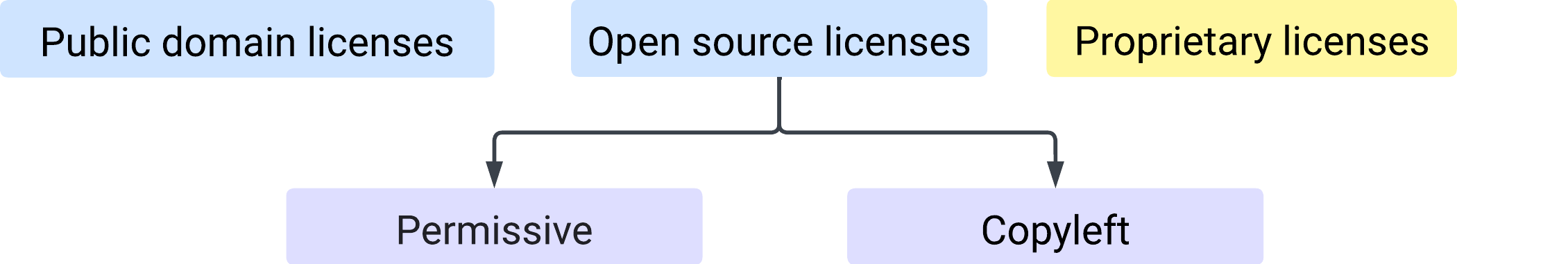 types of licenses