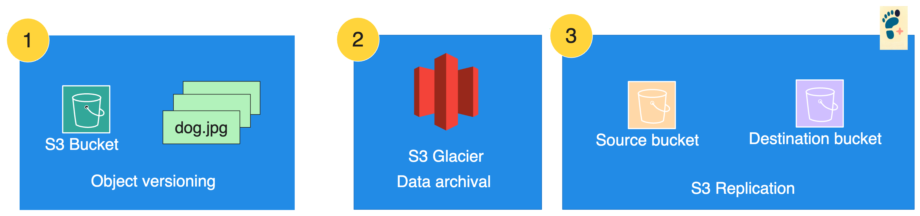 S3 version and archive
